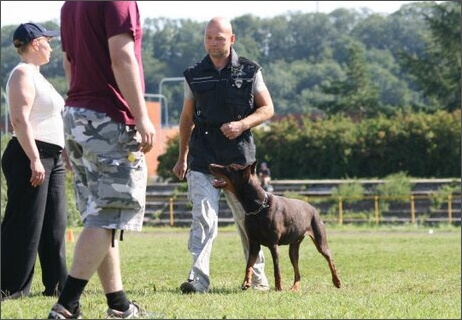 Sasha - Estonia championship 2007  in IPO 3